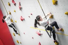 博彩行业向非博彩收入倾斜（博彩业重心转向非博彩收入）