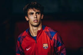 Genius Sports与F1续签协议